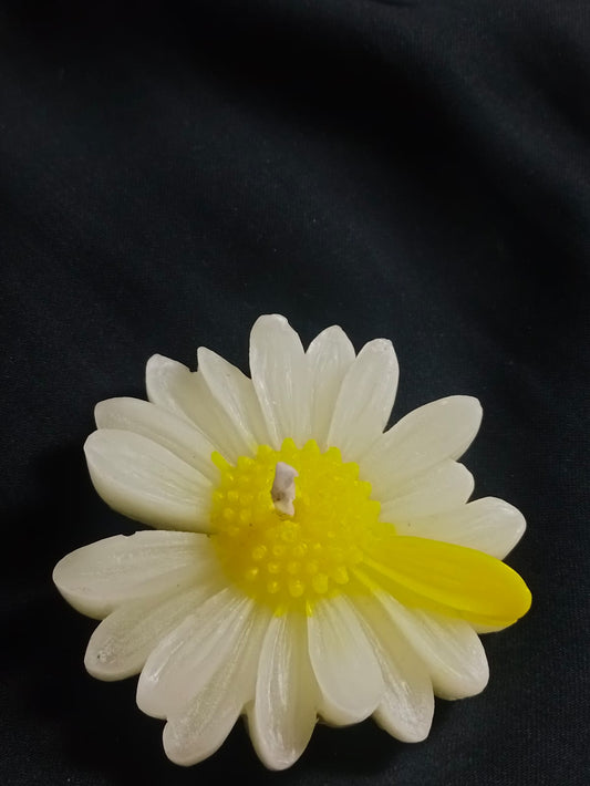 Floating Daisy Candle