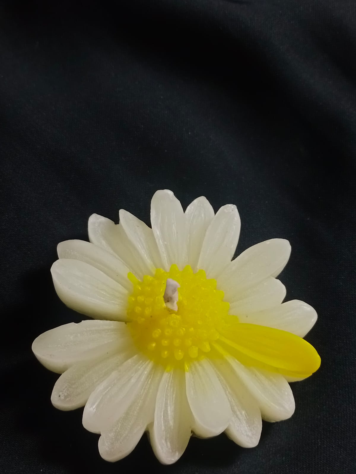 Floating Daisy Candle